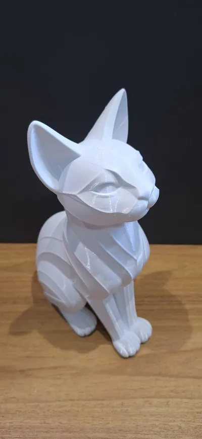 https://makerworld.bblmw.com/makerworld/comment/20260301/1145442010/4dae7a2961016d67.jpg
