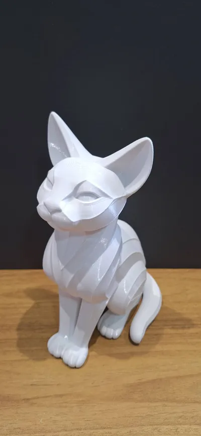 https://makerworld.bblmw.com/makerworld/comment/20260301/1145442010/fd490c9135232c16.jpg