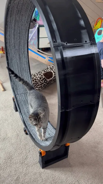 https://makerworld.bblmw.com/makerworld/comment/20260301/1205770574/75cd3fb24516b11a.jpg