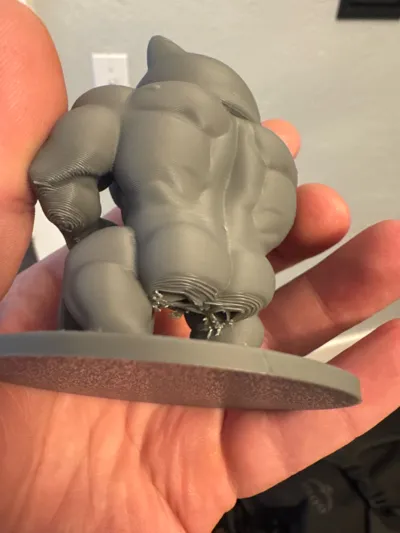https://makerworld.bblmw.com/makerworld/comment/20260301/1408171053/dcd690fd427c0068.jpg