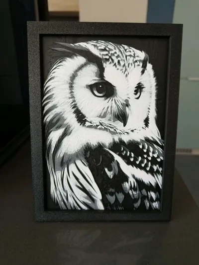 https://makerworld.bblmw.com/makerworld/comment/20260301/1504194339/b129f102d177504b.jpg