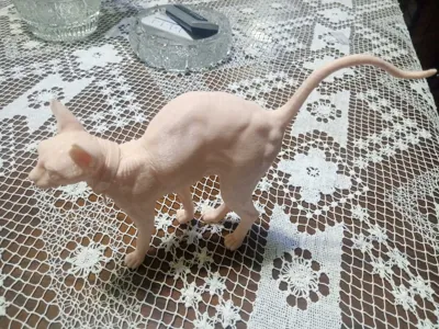 https://makerworld.bblmw.com/makerworld/comment/20260301/1507725666/e464469fbb4b9e56.jpg