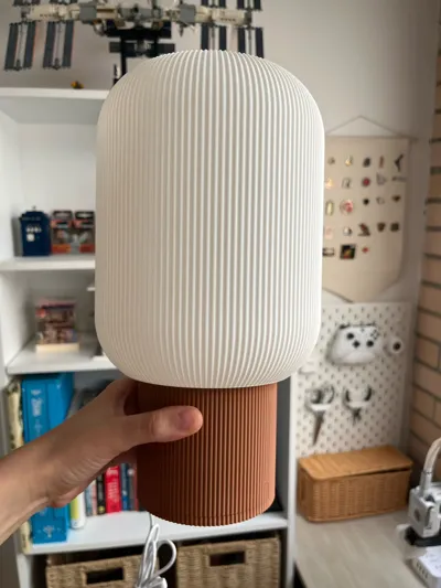 https://makerworld.bblmw.com/makerworld/comment/20260301/1866881067/9dc268b687b49c36.jpg