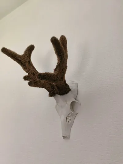 https://makerworld.bblmw.com/makerworld/comment/20260301/2128357607/14e8df8915bc7225.jpg