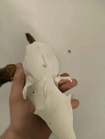 https://makerworld.bblmw.com/makerworld/comment/20260301/2128357607/362320ae3ffd27b0.jpg