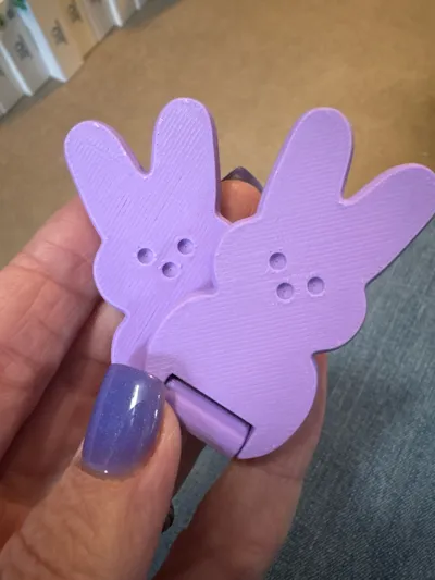 https://makerworld.bblmw.com/makerworld/comment/20260301/2227313768/14f83548bf5c5844.jpg