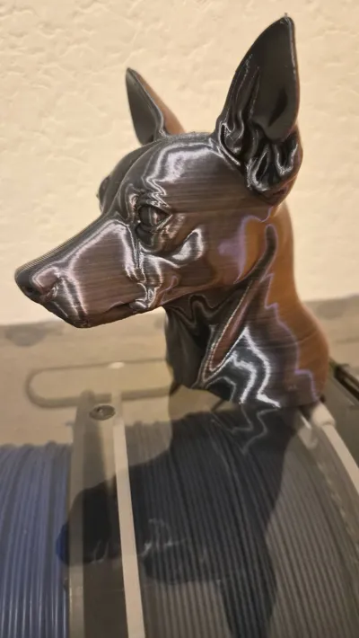 https://makerworld.bblmw.com/makerworld/comment/20260301/2322701475/00fd7d844f3a7a64.jpg