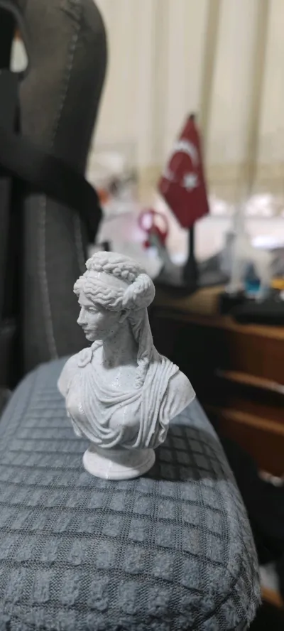 https://makerworld.bblmw.com/makerworld/comment/20260301/2439011220/40fdf12e33d84f67.jpg