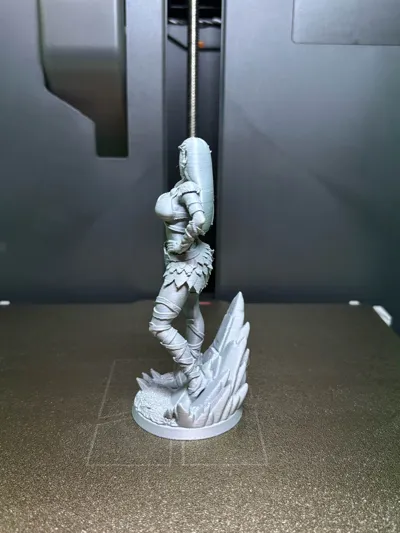 https://makerworld.bblmw.com/makerworld/comment/20260301/2516000629/adcc738588bed619.jpg