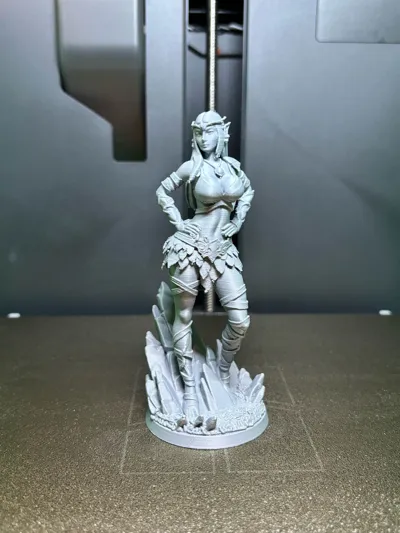 https://makerworld.bblmw.com/makerworld/comment/20260301/2516000629/ddc252deacc33899.jpg