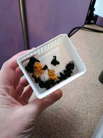 https://makerworld.bblmw.com/makerworld/comment/20260301/2652731937/cc47a9df44ac090c.jpg