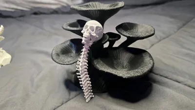 https://makerworld.bblmw.com/makerworld/comment/20260301/2866345740/0194b8f6aa3be44f.jpg