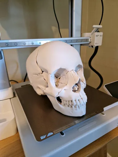 https://makerworld.bblmw.com/makerworld/comment/20260301/2884851941/ef6c420502516e01.jpg