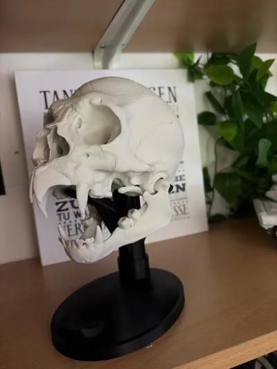 https://makerworld.bblmw.com/makerworld/comment/20260301/3213647576/6bf47be1bafce46a.jpg