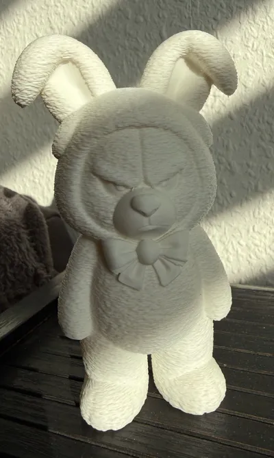 https://makerworld.bblmw.com/makerworld/comment/20260301/3728011761/e2237b5c7acdc54a.jpg