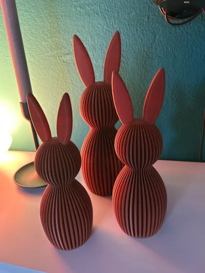 https://makerworld.bblmw.com/makerworld/comment/20260301/3906641150/2fb6492bcdf9432f.jpg