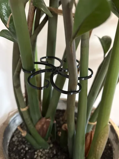 https://makerworld.bblmw.com/makerworld/comment/20260301/3990238825/d60dc06d88955cbb.jpg