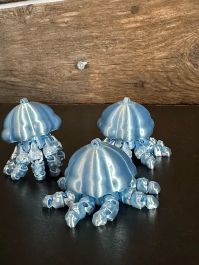 https://makerworld.bblmw.com/makerworld/comment/20260301/4015854989/3649a3b13a0a9e70.jpg