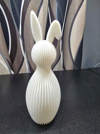 https://makerworld.bblmw.com/makerworld/comment/20260301/4090522177/65d00947883a7503.jpg