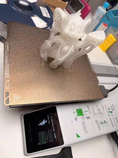 https://makerworld.bblmw.com/makerworld/comment/20260301/4159036846/8abf2a7fc55edd04.jpg