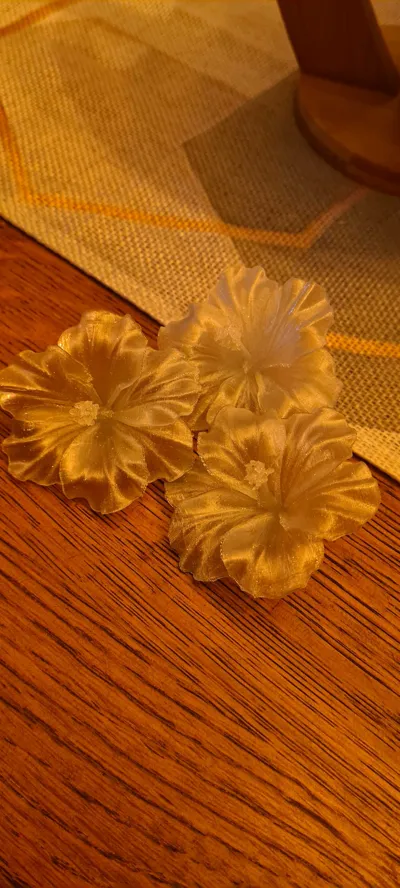 https://makerworld.bblmw.com/makerworld/comment/20260301/588195774/a650fbd2640ae989.jpg