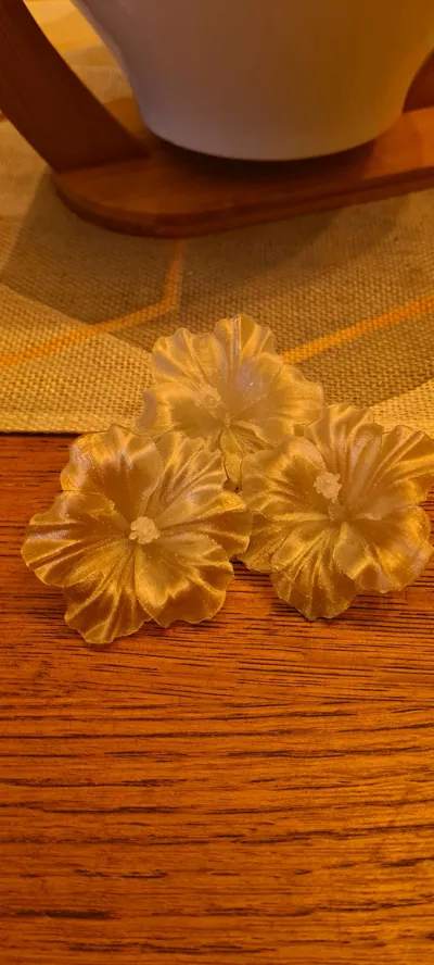 https://makerworld.bblmw.com/makerworld/comment/20260301/588195774/d000b0a23101f257.jpg