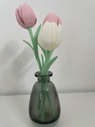 https://makerworld.bblmw.com/makerworld/comment/20260301/591910145/00c0e6818a4ca5fe.jpg