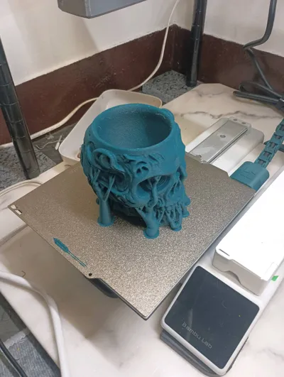 https://makerworld.bblmw.com/makerworld/comment/20260301/911595467/b0ee5186bbc47fa9.jpg