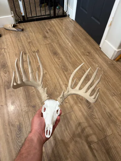 https://makerworld.bblmw.com/makerworld/comment/20260302/1322232771/58ecc95c1b646476.jpg