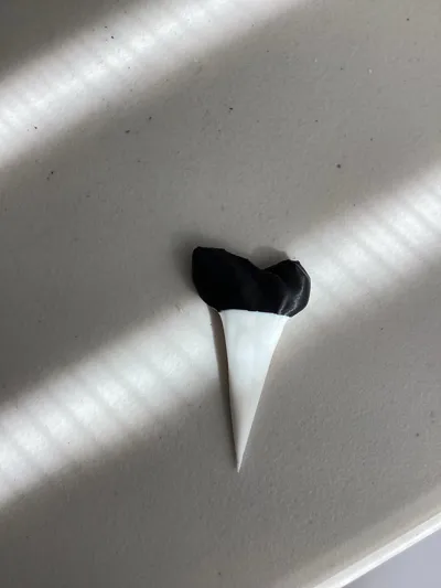 https://makerworld.bblmw.com/makerworld/comment/20260302/1592534497/2c37eaf99bd21b4e.jpg