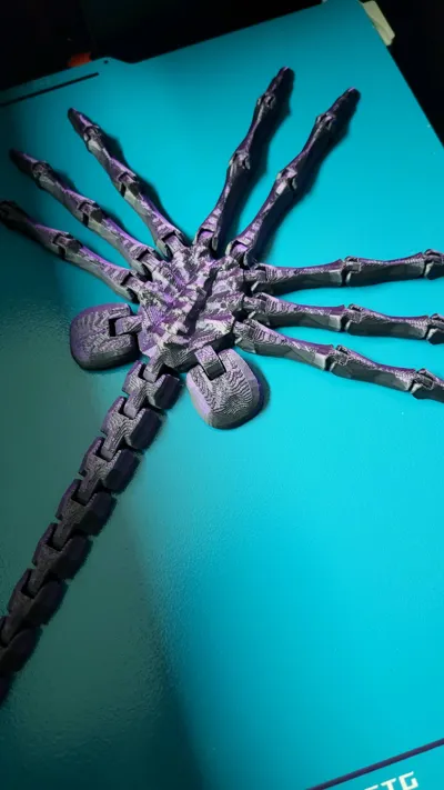 https://makerworld.bblmw.com/makerworld/comment/20260302/1699091388/f4cd9e705b9e309c.jpg