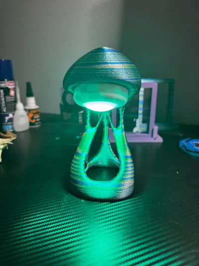 https://makerworld.bblmw.com/makerworld/comment/20260302/176303926/27003086cb4273c2.jpg