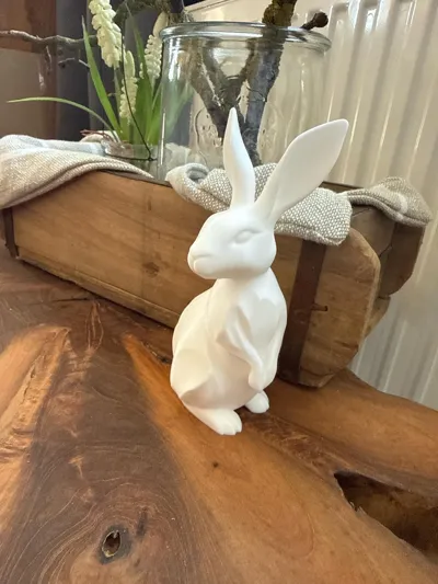 https://makerworld.bblmw.com/makerworld/comment/20260302/1778834582/9aaa5178727ef173.jpg