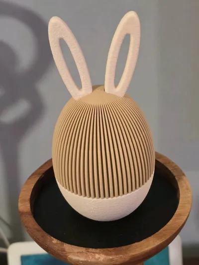 https://makerworld.bblmw.com/makerworld/comment/20260302/2033142075/20968fb156c60d95.jpg