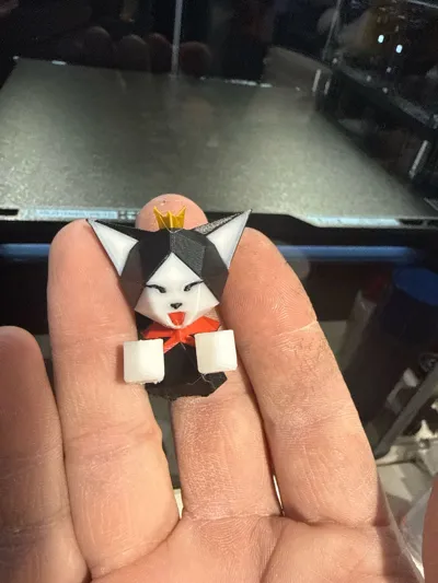 https://makerworld.bblmw.com/makerworld/comment/20260302/2047026316/fbfaee4ca886dd8c.jpg