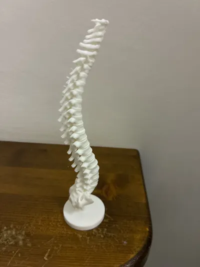 https://makerworld.bblmw.com/makerworld/comment/20260302/2145064352/2619128936d6354d.jpg