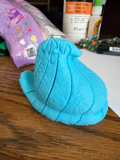 https://makerworld.bblmw.com/makerworld/comment/20260302/2152949906/196e9320b24a5282.jpg