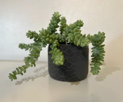 https://makerworld.bblmw.com/makerworld/comment/20260302/2296196794/60780f0d65b7623f.jpg