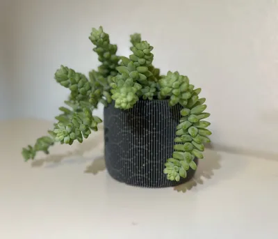 https://makerworld.bblmw.com/makerworld/comment/20260302/2296196794/bc7c406e85d5b2b4.jpg