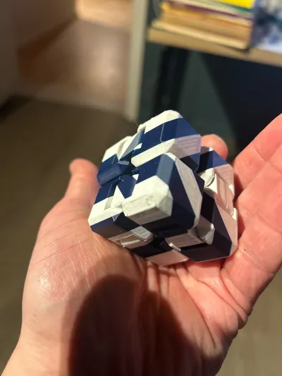 https://makerworld.bblmw.com/makerworld/comment/20260302/2346905841/fe583ded71d331df.jpg
