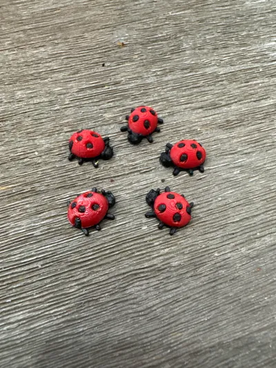 https://makerworld.bblmw.com/makerworld/comment/20260302/245973634/c08e9aafffa6e0be.jpg