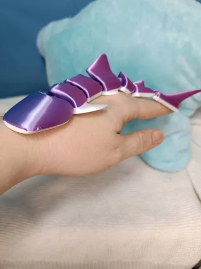https://makerworld.bblmw.com/makerworld/comment/20260302/2565087960/e22de203e4374bce.jpg