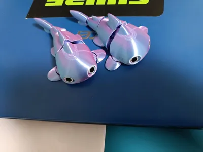 https://makerworld.bblmw.com/makerworld/comment/20260302/2565087960/eed761734e555826.jpg