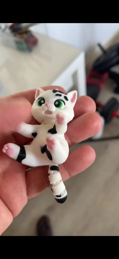 https://makerworld.bblmw.com/makerworld/comment/20260302/2707756645/747ead66d86c4b23.jpg