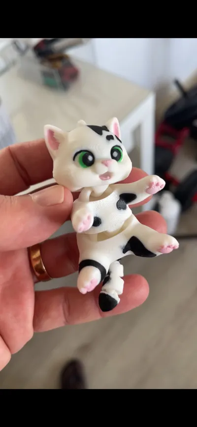 https://makerworld.bblmw.com/makerworld/comment/20260302/2707756645/d790445b68c8c33e.jpg