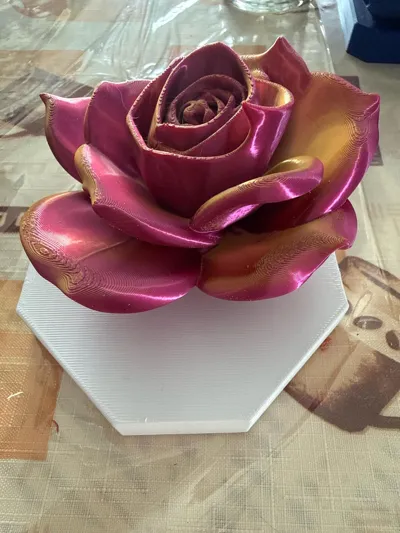 https://makerworld.bblmw.com/makerworld/comment/20260302/277395130/950e24b906ef7f53.jpg