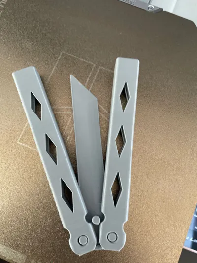 https://makerworld.bblmw.com/makerworld/comment/20260302/278910770/08ad84dc8307adb9.jpg