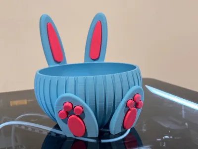 https://makerworld.bblmw.com/makerworld/comment/20260302/3027155842/019d85c07b660af7.jpg