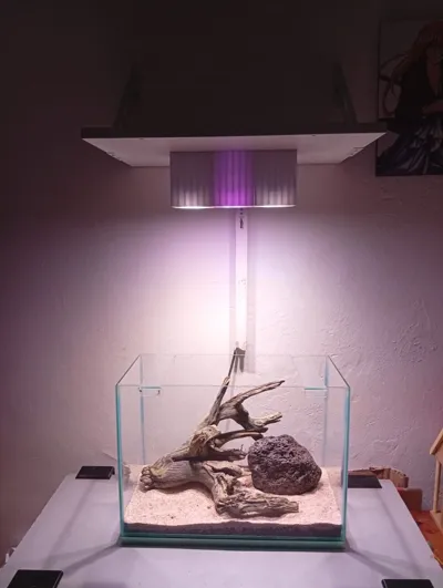 https://makerworld.bblmw.com/makerworld/comment/20260302/3104008374/dde42d56138c9254.jpeg