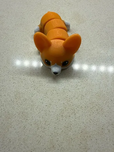 https://makerworld.bblmw.com/makerworld/comment/20260302/3527851872/624698dfd18e1ddb.jpg